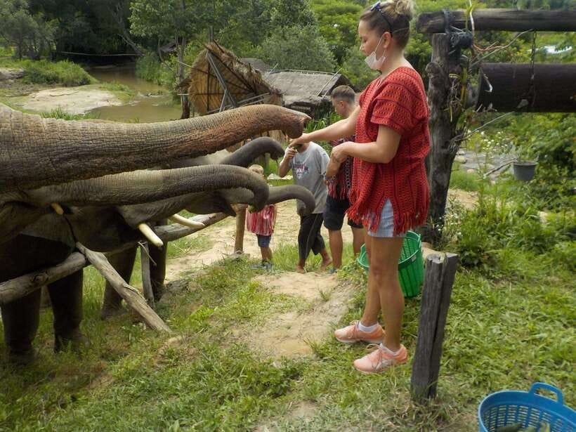 Chiang Mai: Elephant Sanctuary Local Hill Tribe Caretakers - Price and value: what $51 buys you in real time