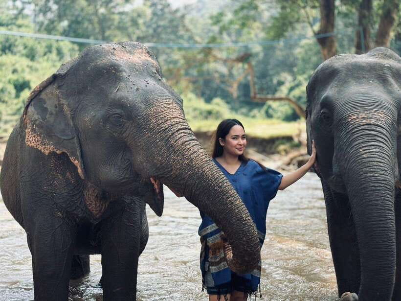 Chiang Mai: Elephant Sanctuary, Long Neck & Sticky Waterfall - Key points to know before you go