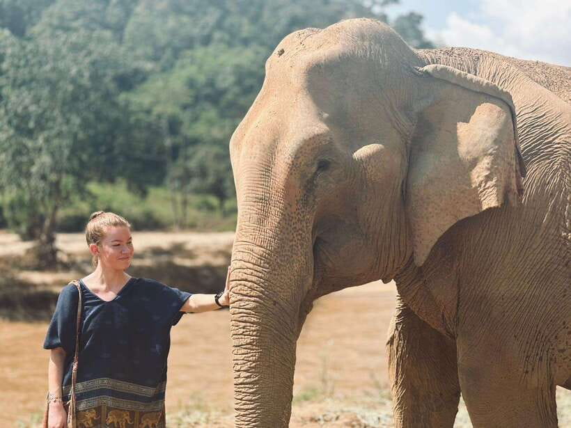 Chiang Mai: Elephant Sanctuary, Long Neck & Sticky Waterfall - The 9-hour Chiang Mai mix: elephants, culture, and water
