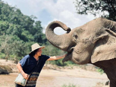 Chiang Mai: Elephant Sanctuary, Long Neck & Sticky Waterfall - Pickup and transport: what keeps the day moving