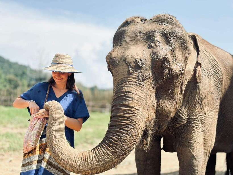 Chiang Mai: Elephant Sanctuary, Long Neck & Sticky Waterfall - Buatong Sticky Waterfall: climb the limestone steps, then cool off