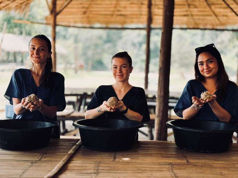 Chiang Mai: Elephant Sanctuary, Long Neck & Sticky Waterfall - Guide quality: why names like Fluke and Amy keep showing up