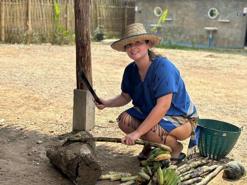 Chiang Mai: Elephant Sanctuary, Long Neck & Sticky Waterfall - Who should book this tour (and who should think twice)