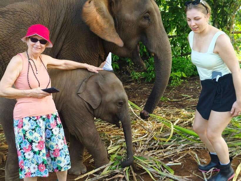 Chiang Mai: Elephant Sanctuary, Monk Trail & Doi Suthep Tour - Wat Pha Lad Monk Trail: quiet jungle temple time
