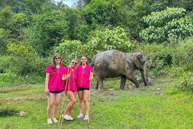 Chiang Mai Elephant Sanctuary Observation and Bamboo Rafting - Pickup, Morning Timing, and the Comfort Advantage