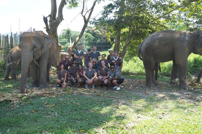 Chiang Mai Elephant Sanctuary Small Group Ethical Tour - Ethical elephant time at Elephant Jungle Sanctuary (and what it really means)