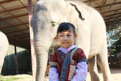 Chiang Mai Elephant Sanctuary Small Group Ethical Tour - Morning 6:30–12:30 or afternoon 12:30–17:30: which window fits you best?