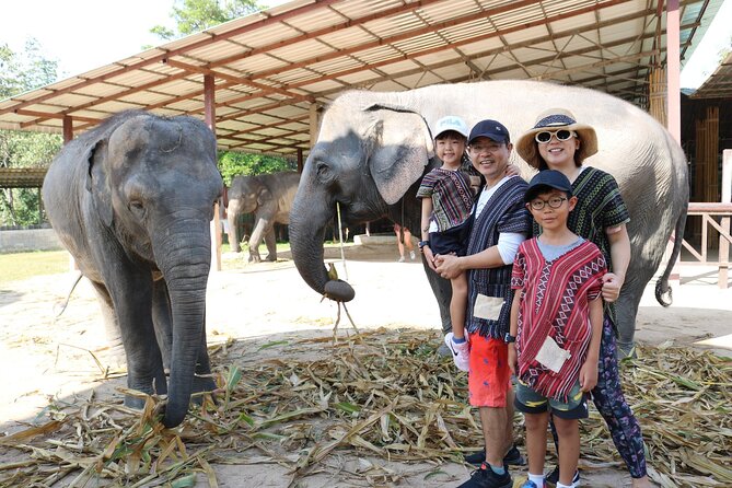 Chiang Mai Elephant Sanctuary Small Group Ethical Tour - The meal plan: Thai buffet lunch, fruits, and a no-stress food situation
