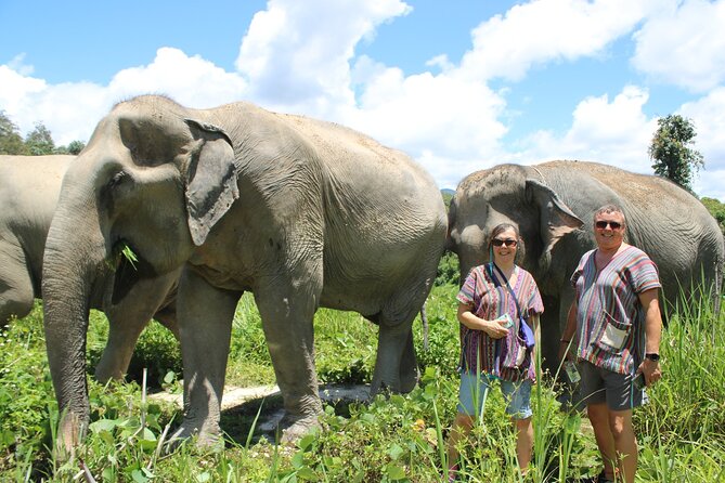 Chiang Mai Elephant Sanctuary Small Group Ethical Tour - Transfers, guide support, and what you’ll actually do as part of a small group