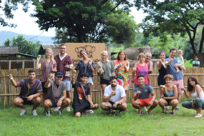 Chiang Mai Elephant Sanctuary Small Group Ethical Tour - Price and value: is $90 fair for a sanctuary-focused day?