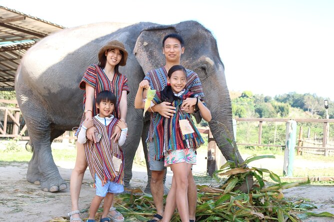 Chiang Mai Elephant Sanctuary Small Group Ethical Tour - Who this tour suits—and who should think twice