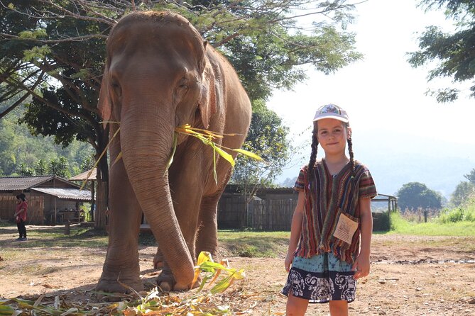 Chiang Mai Elephant Sanctuary Small Group Ethical Tour - Should you book the Chiang Mai Elephant Sanctuary Small Group Ethical Tour?