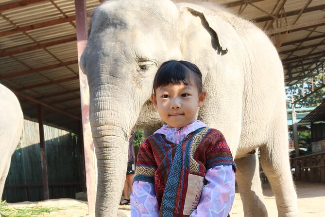 Chiang Mai Elephant Sanctuary Small Group Ethical Tour - Morning 6:30–12:30 or afternoon 12:30–17:30: which window fits you best?