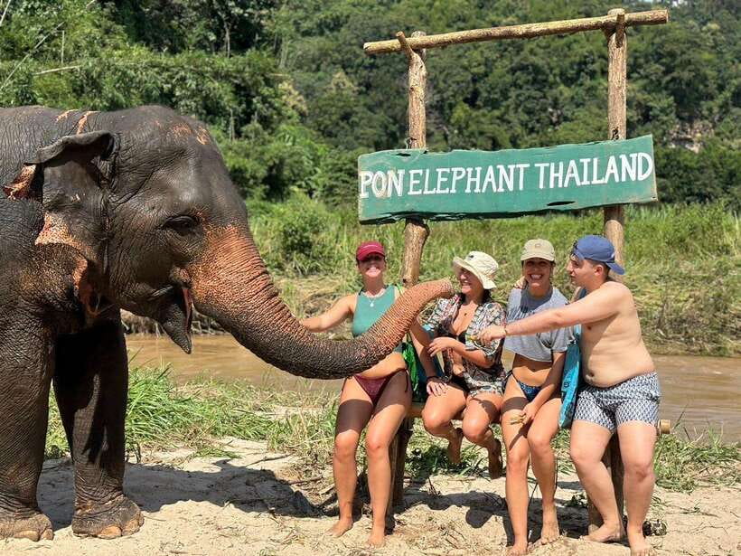 Chiang Mai: Elephant Sanctuary, Waterfall & Bamboo Rafting - Key things that make this day special