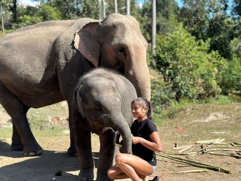 Chiang Mai: Elephant Sanctuary, Waterfall & Bamboo Rafting - Elephant bathing by the river: what you’ll actually be doing