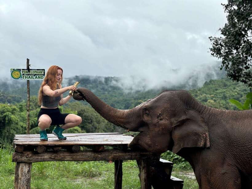 Chiang Mai: Elephant Sanctuary, Waterfall & Bamboo Rafting - Bamboo rafting on the Mae Wang River: fun, cooling, and easy on the legs