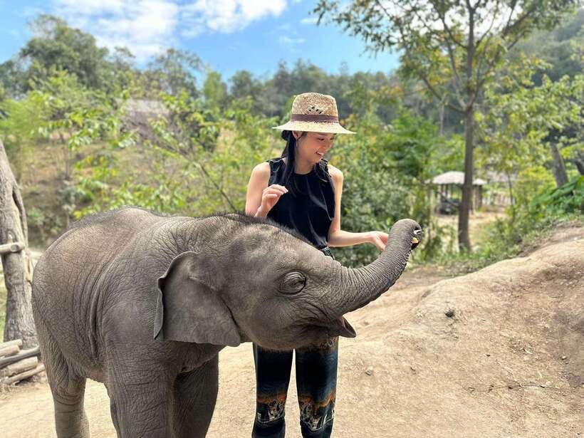 Chiang Mai: Elephant Sanctuary & Waterfall Group Tour - Quick Reality Check on Group Days and Guide Styles