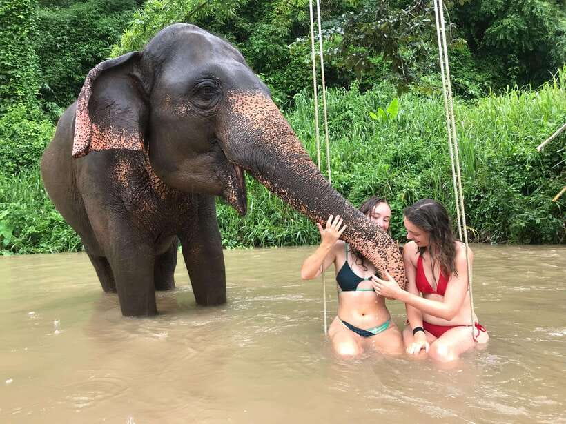 Chiang Mai: Elephant Sanctuary & Waterfall Group Tour - Getting There from Chiang Mai: The Drive Is Part of the Day