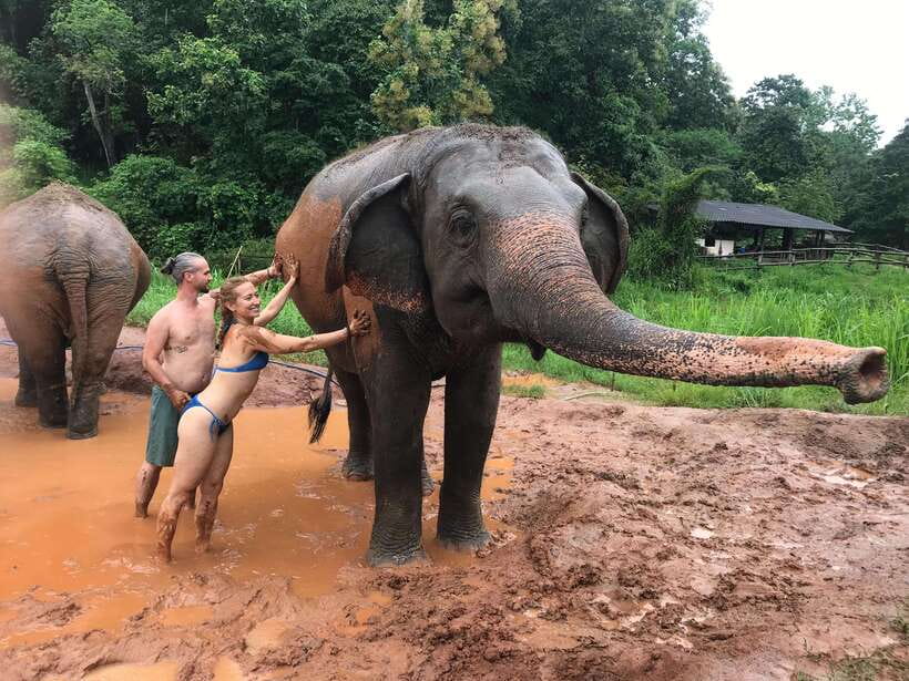Chiang Mai: Elephant Sanctuary & Waterfall Group Tour - Mae Wang Waterfall Hike: Jungle Footsteps and Water That May Vary