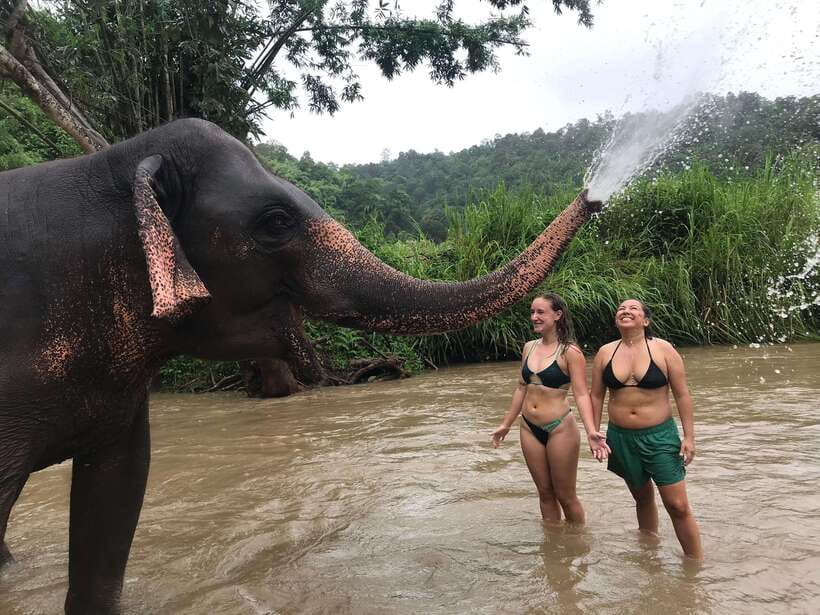 Chiang Mai: Elephant Sanctuary & Waterfall Group Tour - Lunch Break: Thai Food, Seasonal Fruit, and Desserts After the Sweat