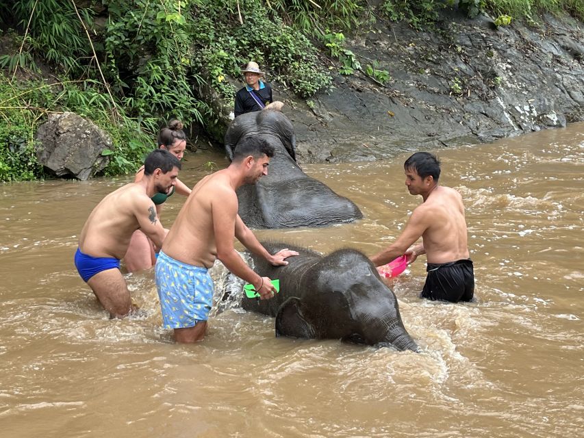 Chiang Mai: Elephant Sanctuary & Waterfall Group Tour - Packing List That Actually Works for This Day
