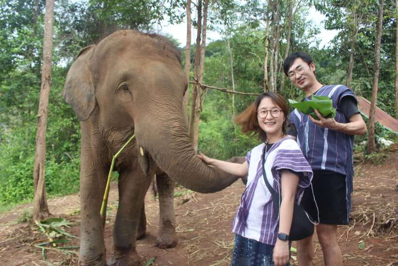 CHIANG MAI ELEPHANT VILLAGE SANCTUARY JUNGLE ADVENTURE - A jungle day near Chiang Mai that feels more human than manufactured