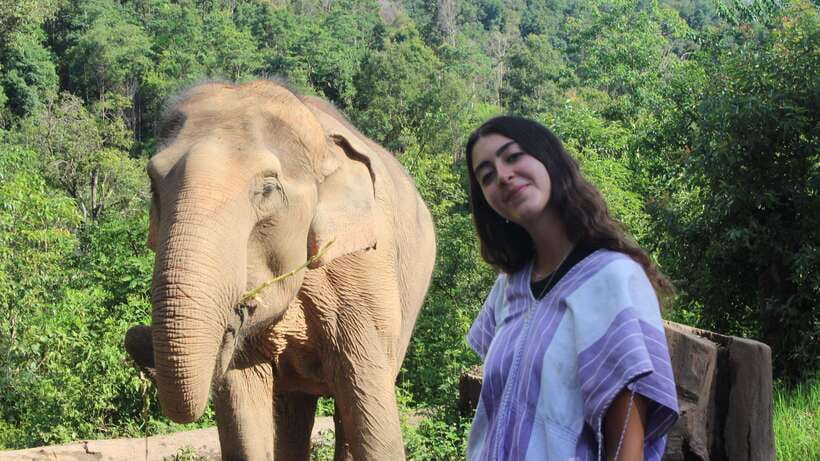 CHIANG MAI ELEPHANT VILLAGE SANCTUARY JUNGLE ADVENTURE - Walking into the elephant area: what gentle contact really looks like