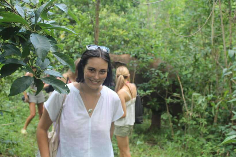 CHIANG MAI ELEPHANT VILLAGE SANCTUARY JUNGLE ADVENTURE - Price and value: what you’re paying for at $48