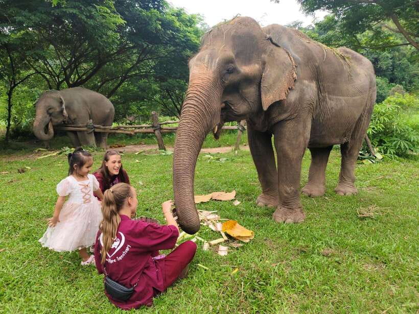 Chiang Mai: Elephants, Sticky Waterfalls, Market and Temple - Why this Chiang Mai day feels different than the usual route
