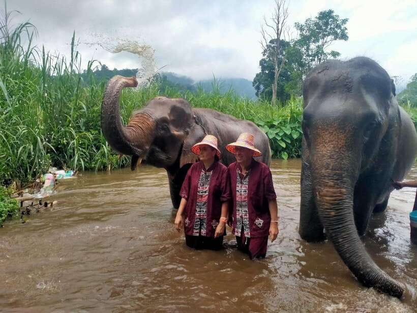 Chiang Mai: Elephants, Sticky Waterfalls, Market and Temple - 10:45 pickup, market foods, and the rural culture lesson