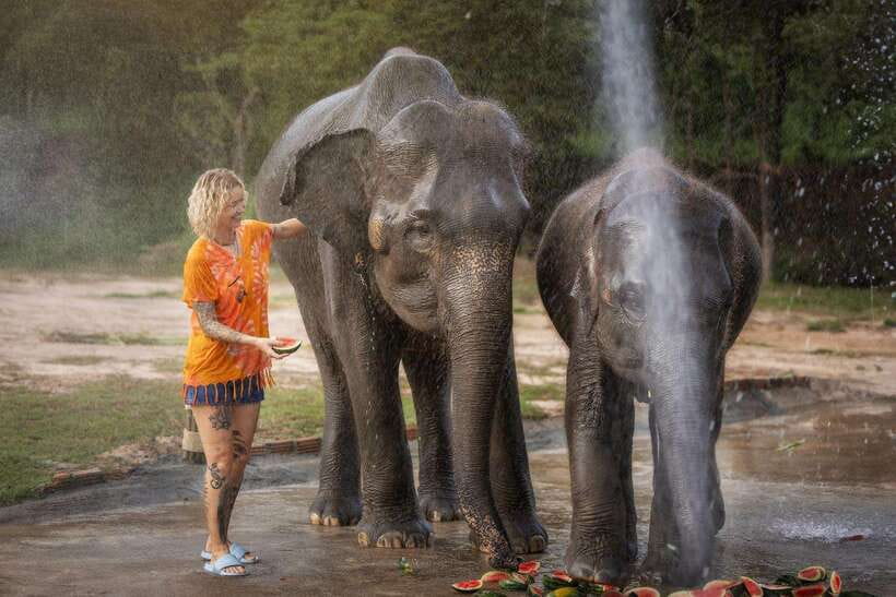 Chiang Mai: Ethical Elephant Feeding & Shower Program - Why this ethical feed-and-shower program feels different