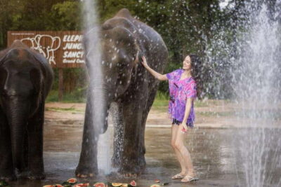Chiang Mai: Ethical Elephant Feeding & Shower Program - The 2–4 hour flow: briefing, feeding, and elephant rain time