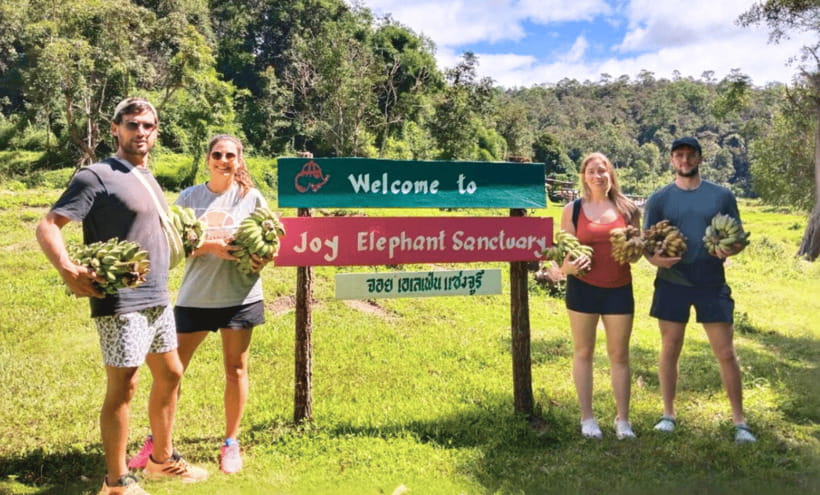 Chiang Mai: Ethical Half Day Elephant Sanctuary & Waterfall - Key highlights worth circling