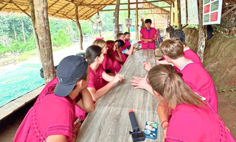 Chiang Mai: Ethical Half Day Elephant Sanctuary & Waterfall - Why Joy Elephant Sanctuary feels different in Chiang Mai