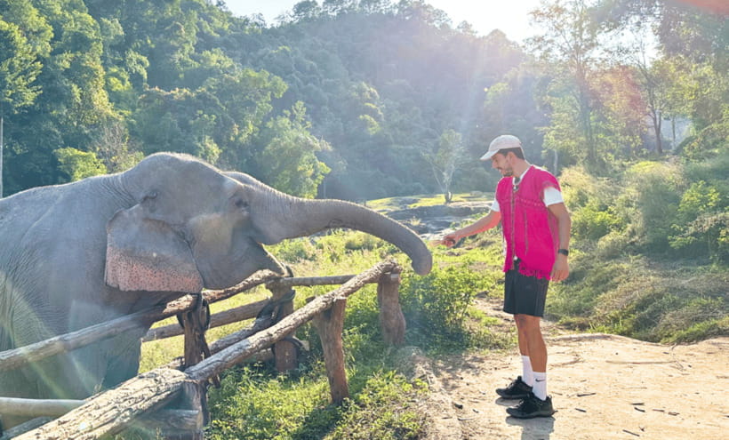 Chiang Mai: Ethical Half Day Elephant Sanctuary & Waterfall - Following the herd through Mae Wang jungle