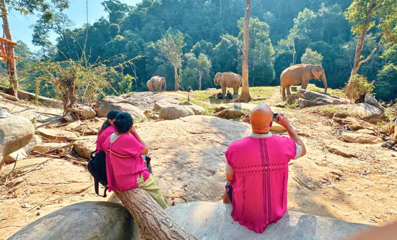 Chiang Mai: Ethical Half Day Elephant Sanctuary & Waterfall - Value check: is $54 for Chiang Mai elephant observation worth it?