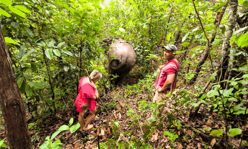 Chiang Mai: Ethical Half Day Elephant Sanctuary & Waterfall - What to bring for comfort (and fewer “why didn’t I pack that” moments)
