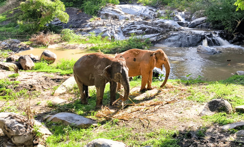 Chiang Mai: Ethical Half Day Elephant Sanctuary & Waterfall - Getting there: a realistic 7-hour rhythm from Chiang Mai Old City