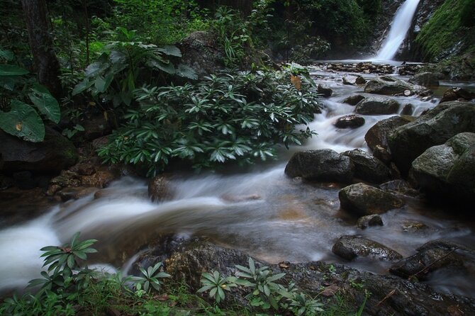 Chiang Mai Exotic Excursion Unseen Miracle of Faith To Pupadang Lampang Temple - Price and logistics: who this Chiang Mai day trip suits best