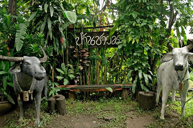 Chiang Mai Farm Life & Khao Soy Tasting on a Half-Day Boat Tour - Enter the Herb and Rice Garden Stop: Fruit, Jasmine Rice, and Medicinal Herbs