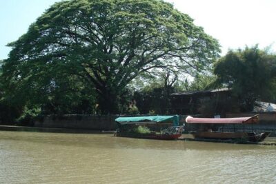 Chiang Mai Farm Life & Khao Soy Tasting on a Half-Day Boat Tour - What the Tour Feels Like in Real Life (Pacing, Group Size, and Commentary)
