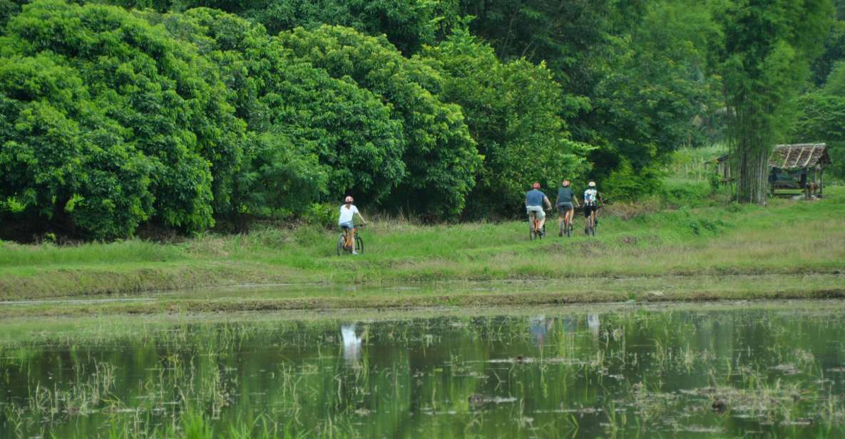 Chiang Mai Fields of Gold Cycling Tour - Key highlights worth knowing
