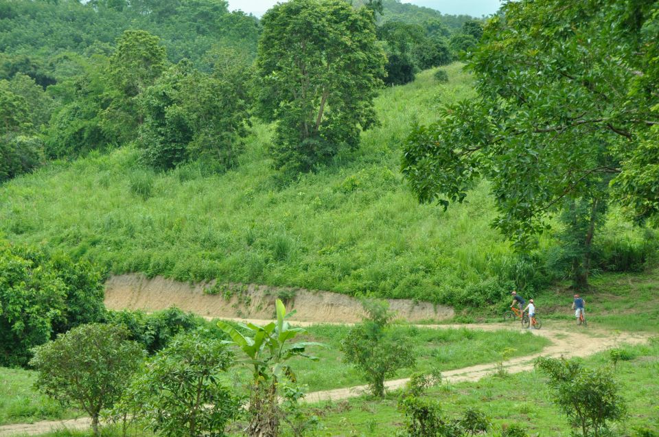 Chiang Mai Fields of Gold Cycling Tour - The route: 36 km max, 289 m gain, and mixed surfaces