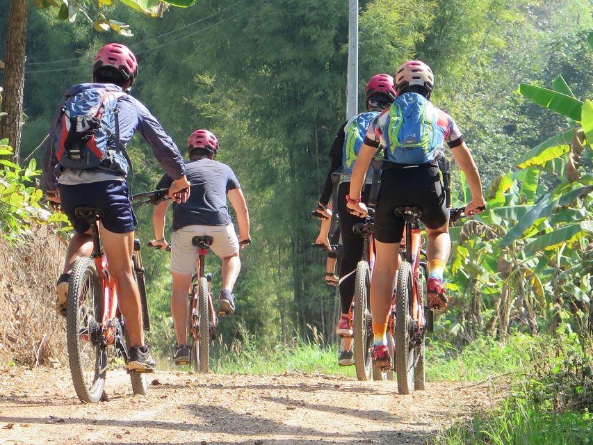 Chiang Mai Fields of Gold Cycling Tour - Small-group comfort: why up to 9 riders is a big deal