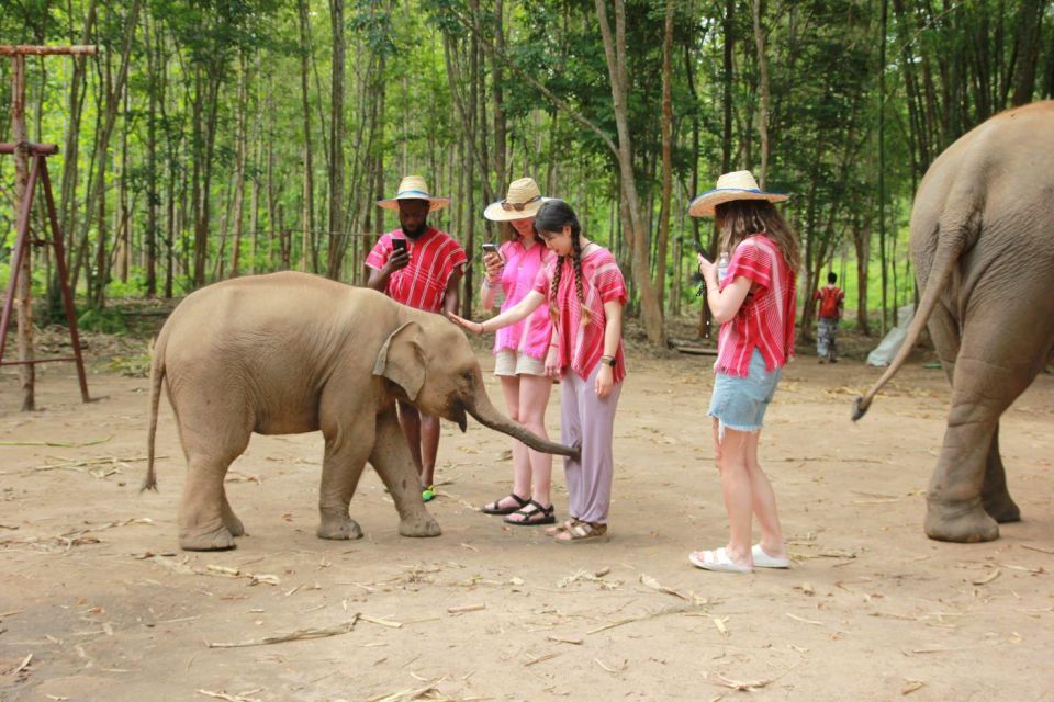 Chiang Mai: Full-Day Kerchor Elephant Eco Park Tour & Trek - Elephant Ethics at Kerchor: What Makes This Tour Different in Real Life