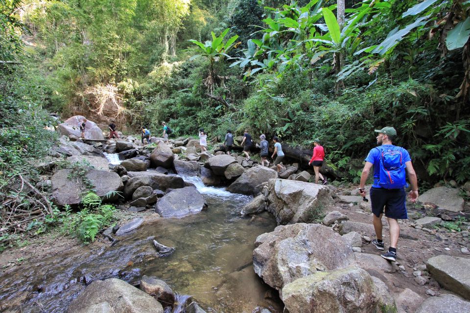 Chiang Mai: Guided Jungle and Waterfall Trek with Transfer - The 10-Meter Waterfall: Swim Time and the Optional Extra Walk