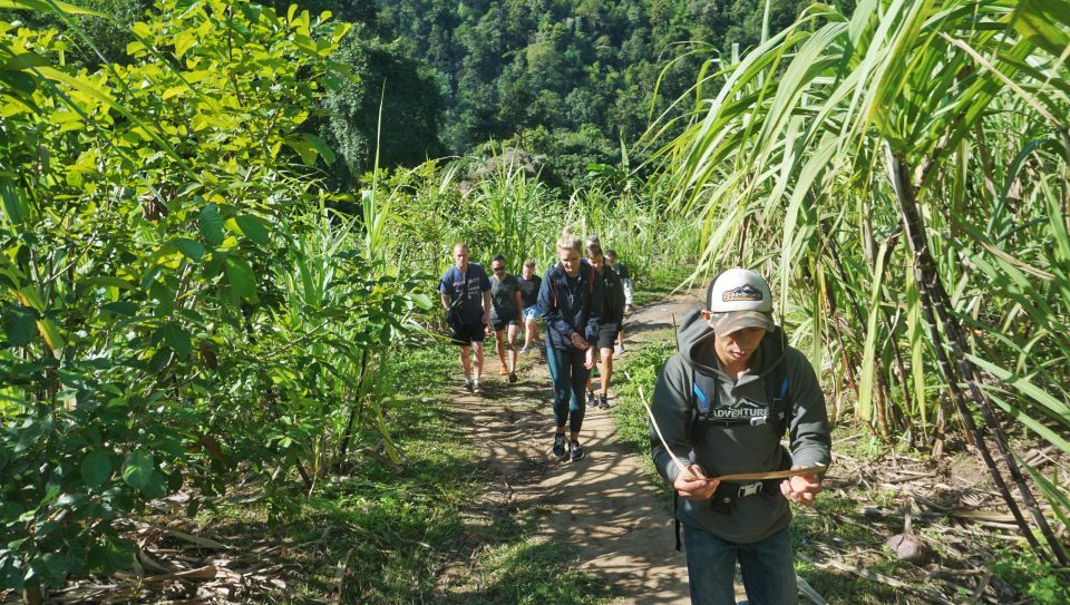 Chiang Mai: Guided Jungle and Waterfall Trek with Transfer - Price and Value: What $64 Really Buys You