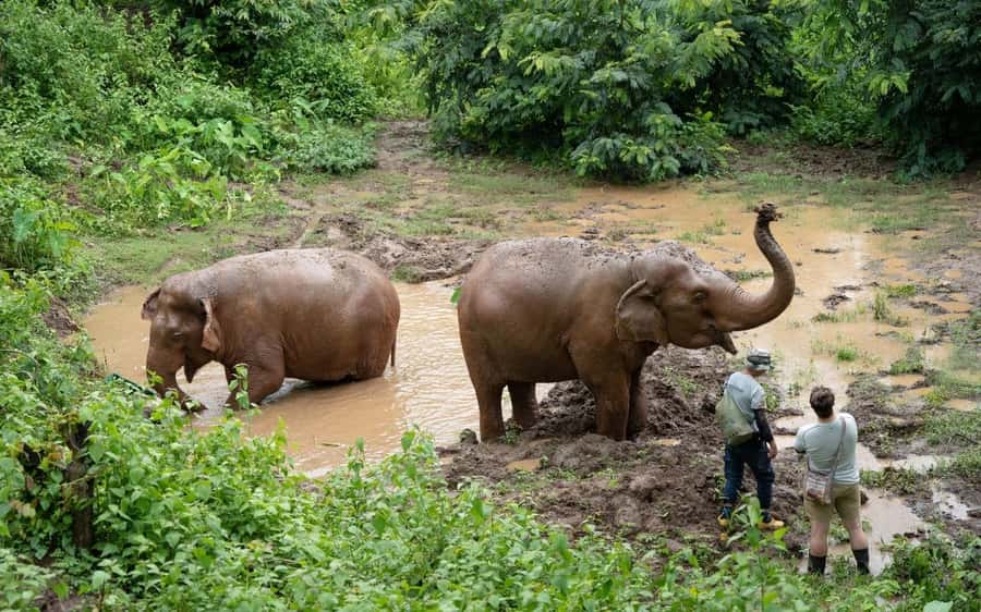 Chiang Mai Half-Day Adventure: River Tubing & Waterfall - Overnight Option at the Base Camp: Better Night in Nature