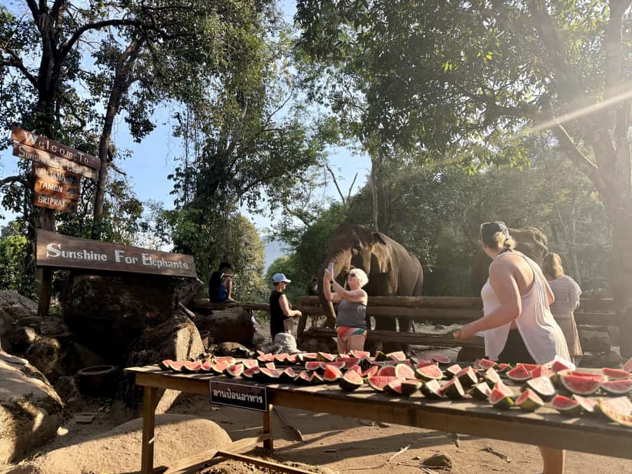 Chiang Mai Half-Day Adventure: River Tubing & Waterfall - Price and Value: How $62 Adds Up (and Where Extras Start)