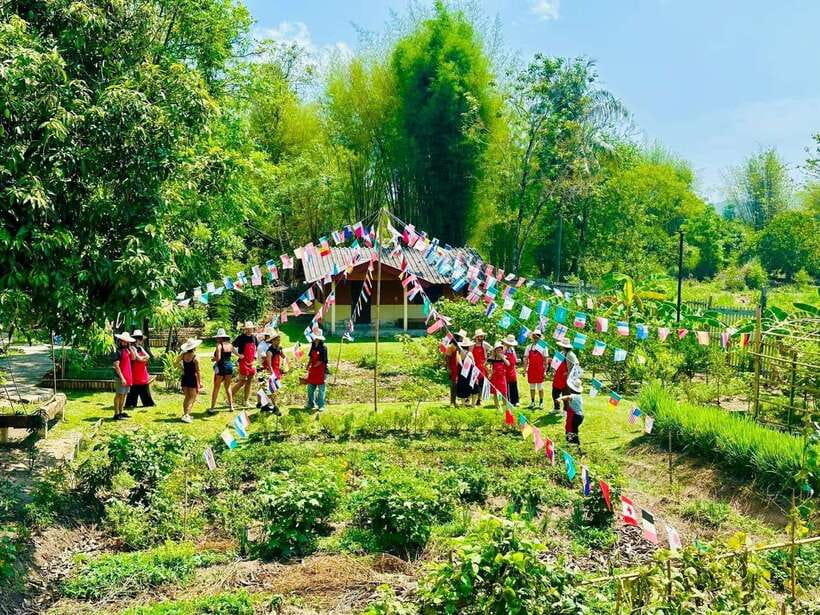 Chiang Mai: Half Day Cooking Class at Organic Farm - Key things I’d plan around